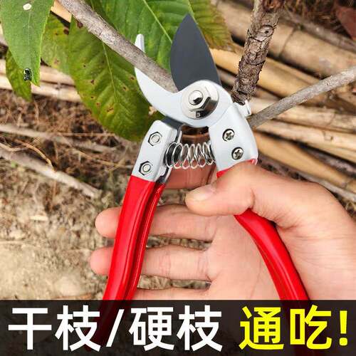 园艺剪枝剪刀修枝剪果树不锈钢园林花艺剪子工具修剪树枝剪刀花剪