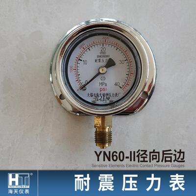 海天压力表厂家直销 YN60-II径向后边充油耐震压力表