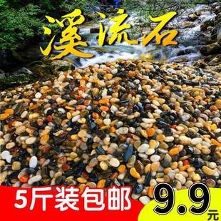 HDM5斤鹅卵石五天然彩子鱼缸小石头铺底景沙石原石生造缸过滤溪流