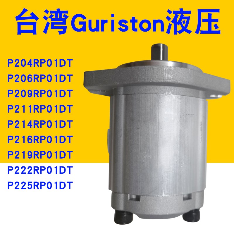 齿轮泵P204R/P206R/P208/P211/P214/P216R/P219R/P225R/P230RP01D