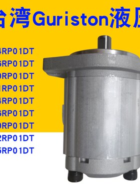 齿轮泵P204R/P206R/P208/P211/P214/P216R/P219R/P225R/P230RP01D