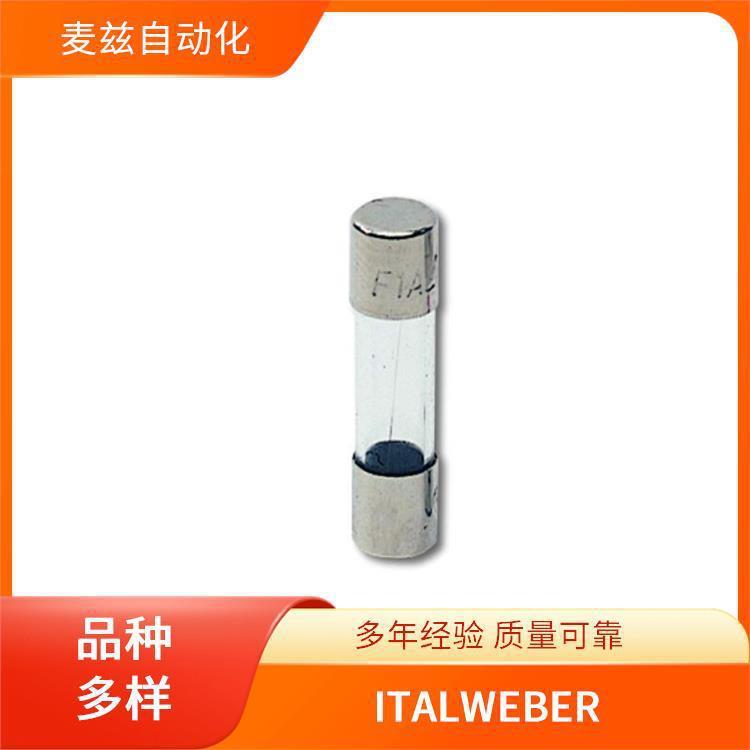 31104UAR模塊化設(shè)備系統(tǒng)保險 絲B ITALWEER CCE290-7.6