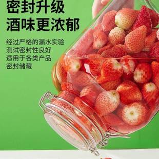 玻密封罐泡璃酒梅BTY瓶青果酒酒瓶酿酒罐杨梅酒容器坛空瓶存酒桶