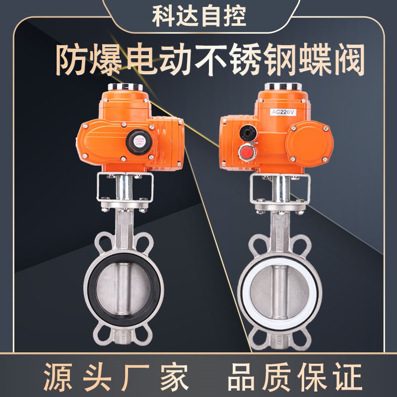 D971F/X-16P 全不锈钢防爆电动蝶阀 精小型 DN50 65 80 100 125