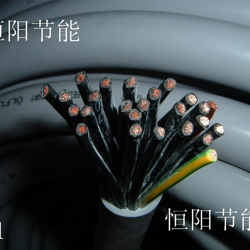 德国进口缆普25芯2.5平方电缆线模具热流道电源线耐油25G2.5 110