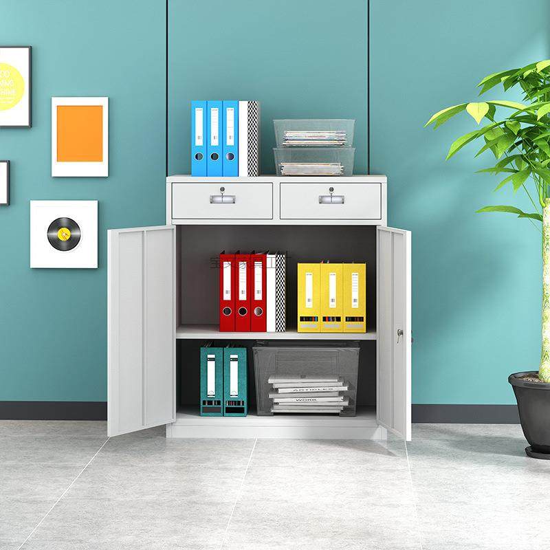 Bw钢制文件柜铁皮2资柜办公储tyFdF5ap物柜料柜档案矮柜中二斗下