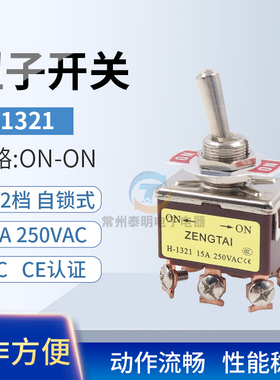 小钮子开关摇臂摇头拨动开关ETEN 1321 6脚2档双刀开关ON-ON 12MM