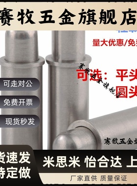 小径平头弹簧柱塞MPFS/MPJS圆柱销圆头弹簧定位销球头弹性柱塞
