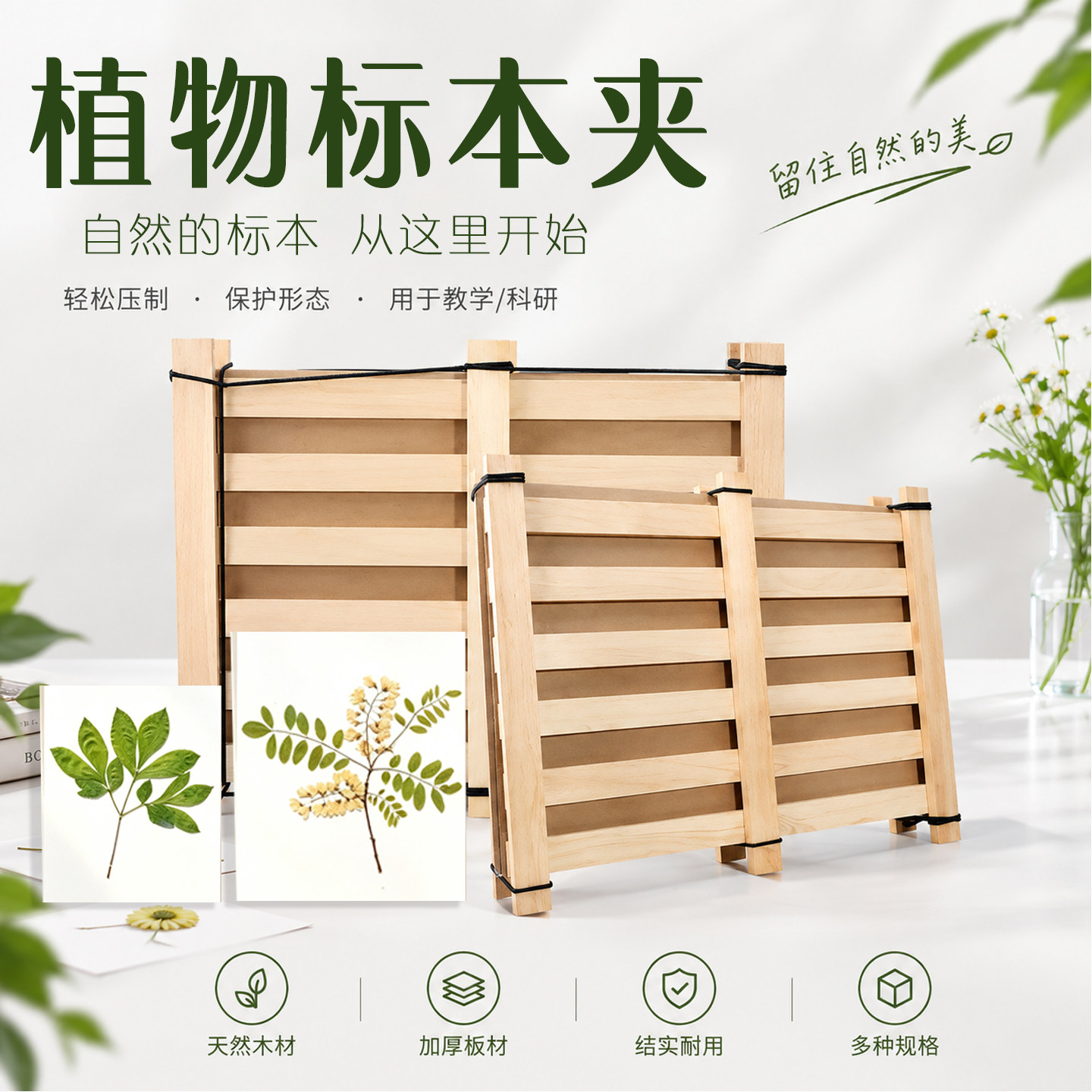 植物标本夹全套植物标本制作材料工具瓦楞纸大号植物标本台纸卡纸中药卡纸树叶标本制作