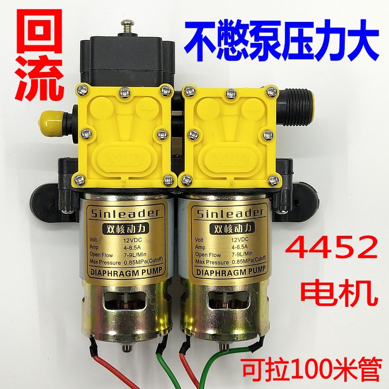 信利达12V双核动力隔膜水泵 农用电动喷雾器双泵压洗车器改装