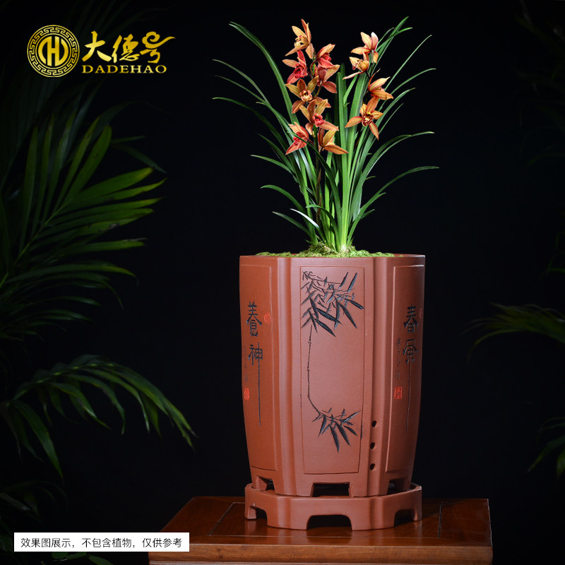 宜兴紫砂兰花盆陶瓷君子兰盆栽蓝草透气六方形兰花盆专用盆带托盘