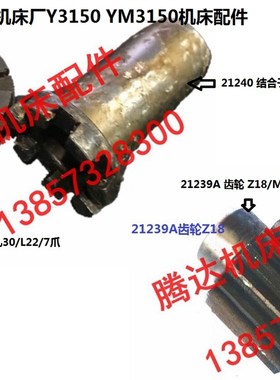 上海机床厂Y3150机床配件21239A齿轮Z18 21255 21240结合子7爪
