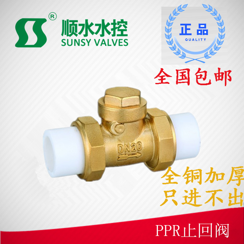 双热熔活接单向卧式逆止阀PPR黄铜止回阀水管管件4分6分1寸20 25