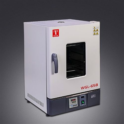鼓风干燥箱 WGL WGLL型 WGL-30B /45B/65B/125B  天津泰斯特 正品