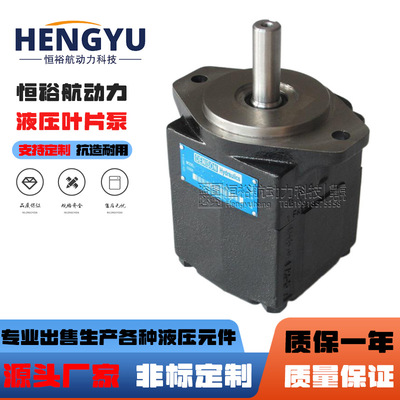 Denison丹尼逊叶片泵T6E-042/45/50/52/62/66/72-1R00-C1液压油泵