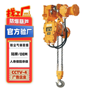 防爆环链电葫芦 防爆电动葫芦1t5t10吨粉尘气体防爆葫芦固定运行式