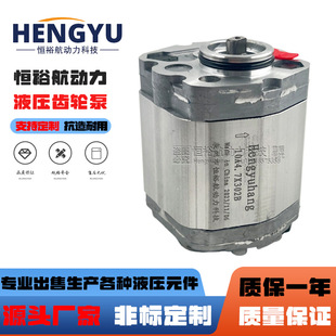 Hengyuhang齿轮泵10A4.7X302B 10A2.65X488液压油泵 10A4.75X302B