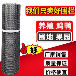 养鸡网塑胶网围栏网护栏网隔离网户外养殖网拦鸡网栅栏菜园防护网