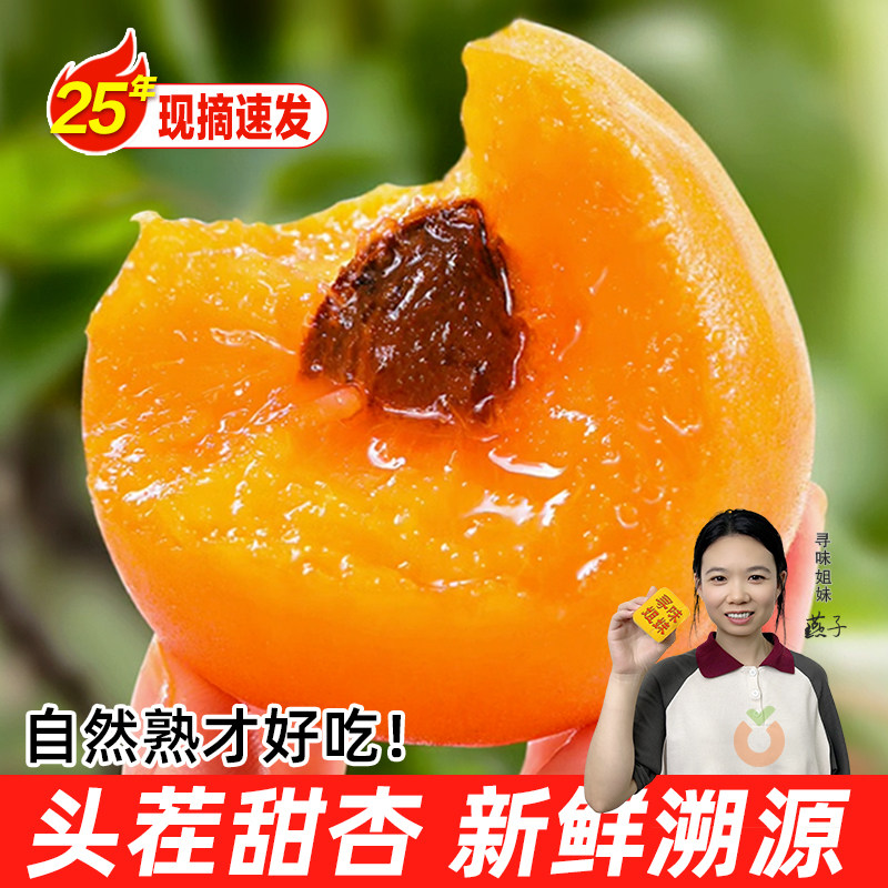 1�� ��̫�����ӡ� ��������+̫�����ӣ�����TOP ��