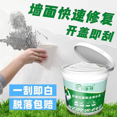补墙膏墙面修补膏[抗裂防水防霉]