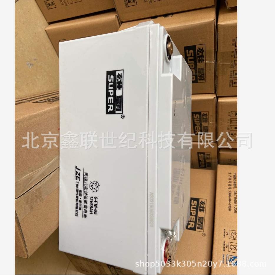 哈尔滨雄霸蓄电池GFM-100/九洲蓄电池2V-100AH现货含税