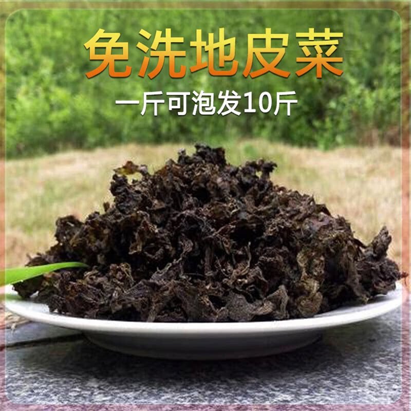 地皮菜干货野生地软 天然雷公菌地达菜无沙免洗农家特产山野菜