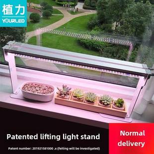 植力 LED全光谱多肉补光灯防徒长上色植物生长光合作用家用彷太阳