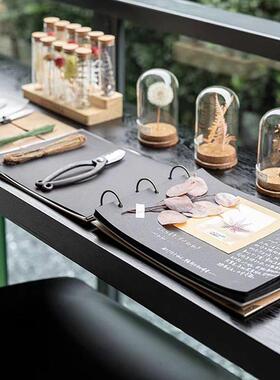 现代花艺阳台样板间书房桌面摆件饰品植物干花玻璃罩创意工具套装