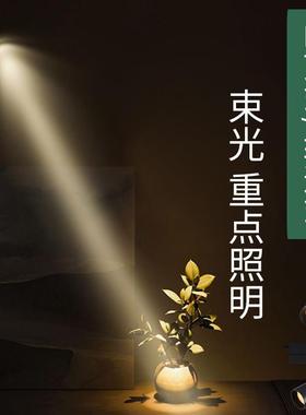 小角度明装轨道射灯5度8度角餐厅会所餐厅吧台装饰一束聚光灯3W5W