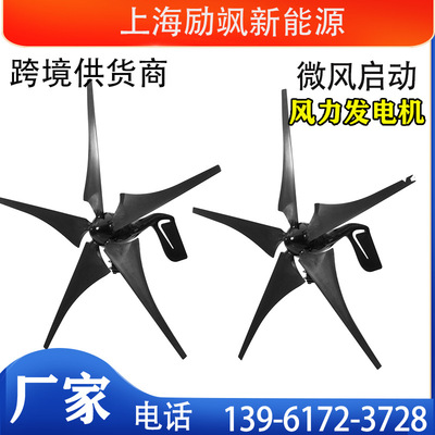 厂家直销 水平轴 100W200W300W12v24v 小型风力发电机  风光互补