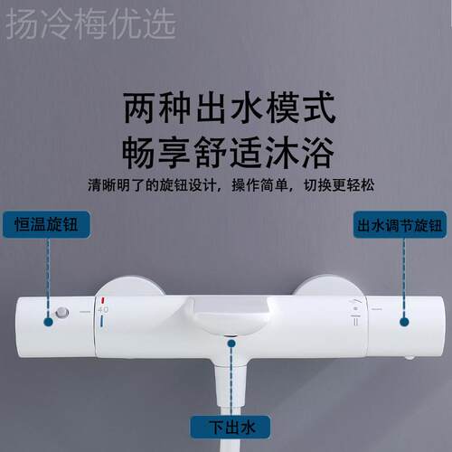 品牌花同款恒温龙套装 花全铜多功能恒温淋浴洒 酒店爆款浴EGF头