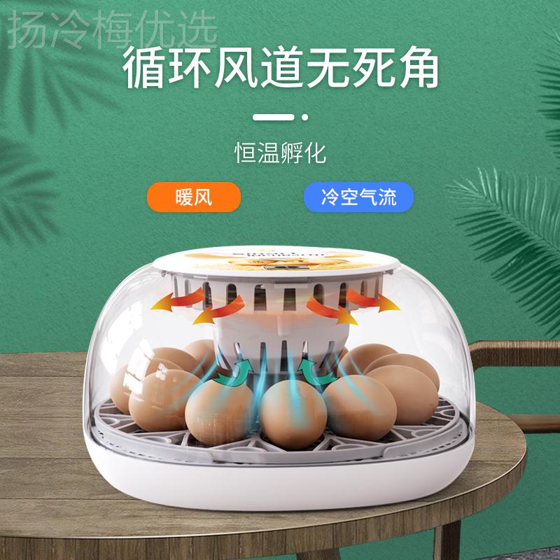 k迷你全自动孵蛋器家用小型鸭鹅蛋加孵化IPS器自t动水芦丁鸡鸡孵