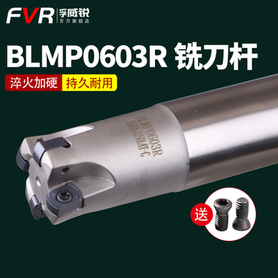 快进给双面铣刀杆BLMP0603R/TEBL06特固克 BLMP0603R刀片开粗铣面