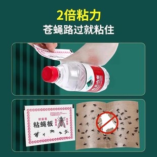 苍蝇贴家用强力粘苍蝇纸粘蝇板沾蚊捕捉器灭蝇子杀手神器一扫而光