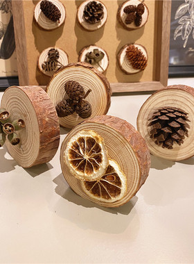 侘寂风天然干果圆木片桌面摆件店铺陈列咖啡店手工装饰幼儿园环创