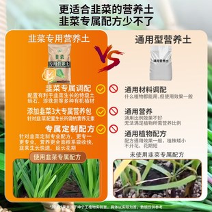 韭菜专用营养土种菜土家庭阳台育苗有机肥料种植泥土壤韭菜种植土