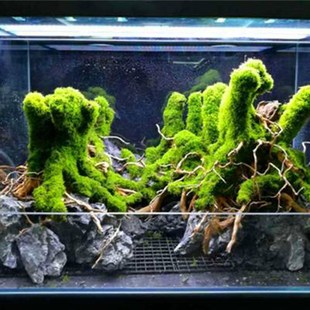 可安裝 電視機魚缸水陸缸 風扇與過濾桶 使用方法 設計 雨林缸 新款