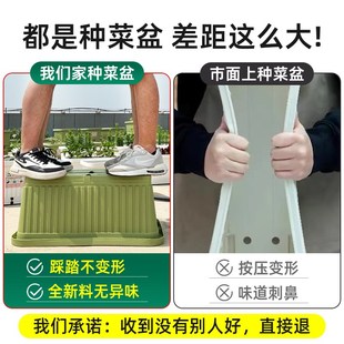 原起点阳台种菜盆自吸水家庭蔬菜种植箱室内长条家用塑料花盆