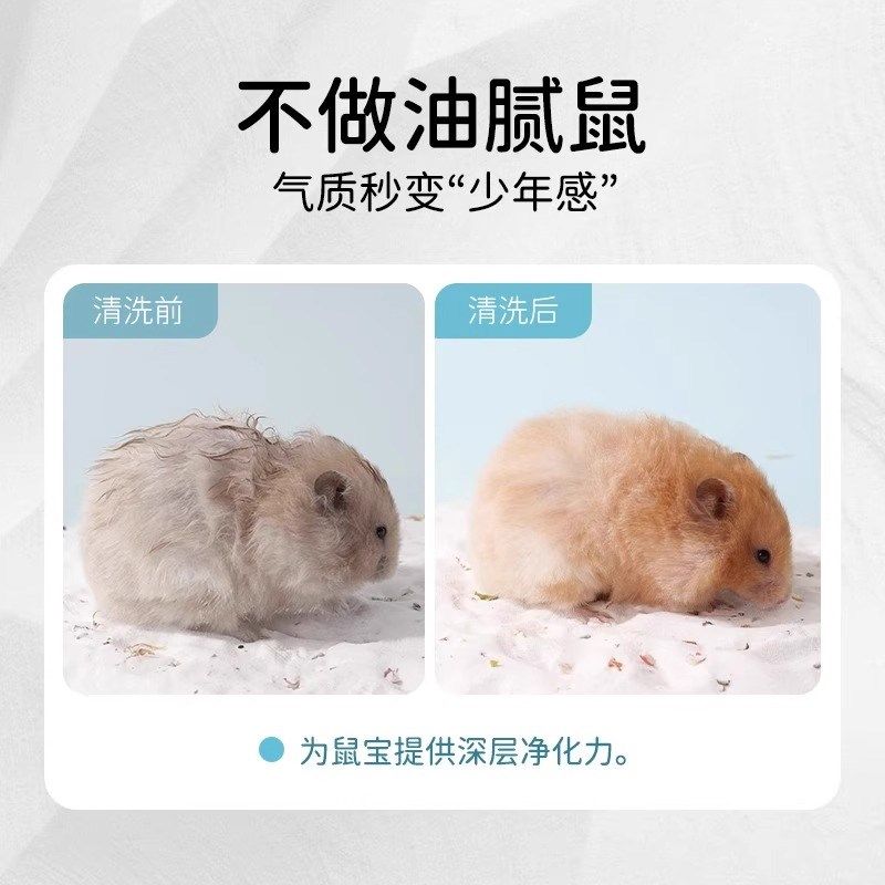 仓鼠浴沙专用洗澡沐浴尿沙二合一金丝熊除无臭尘厕所套装宠物用品,宠物/宠物食品及用品,浴沙/尿砂,淘宝优惠券,粉丝福利购,淘宝优惠卷