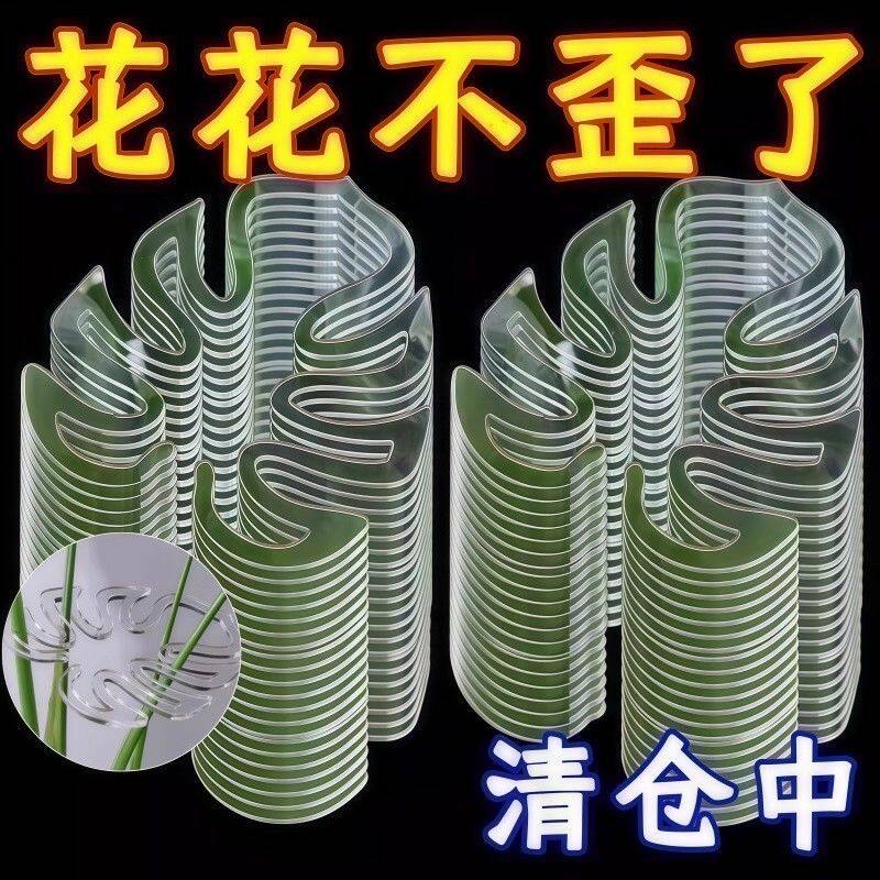 龟背竹水培枝干收拢架防倒伏