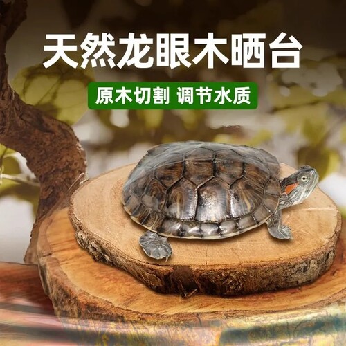 龙眼木乌龟晒台晒背台爬坡台浅水深水龟缸浮台水族箱造景还原生态