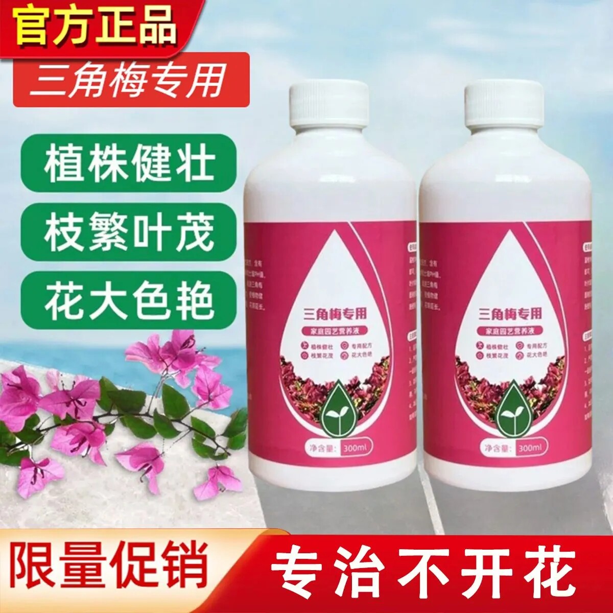 三角梅全年开花花促绿营养液