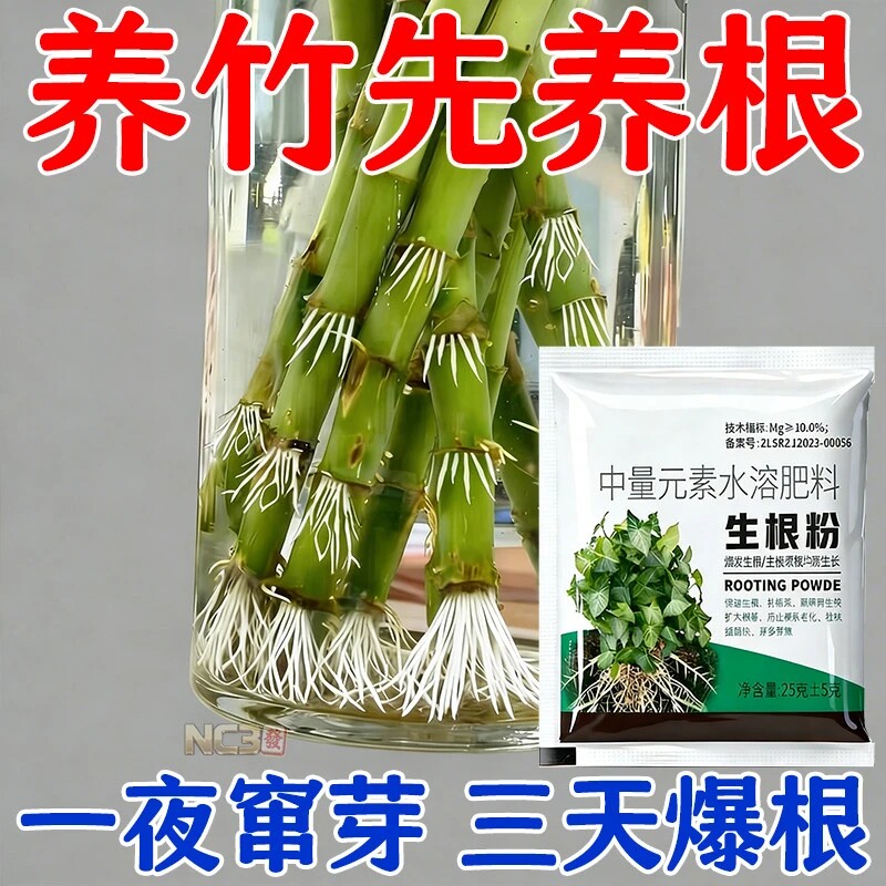 爆根】富贵竹专用生根粉水培植物防水发臭黄叶促生根快速焕发新根