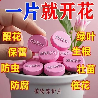 植物营养片养花缓释片根系健壮爆盆快花卉绿植长势旺全周期养护
