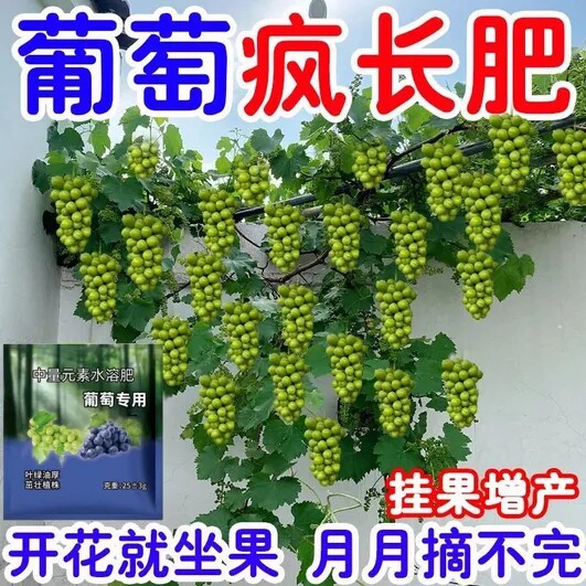 领沃葡萄专用缓释肥增产坐果