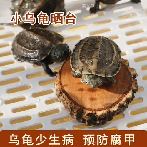龙眼木乌龟晒台超级大号悬浮晒台中华草龟鱼缸乌龟休息台水陆两栖