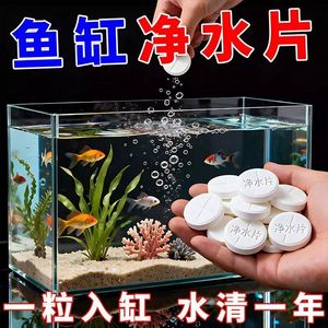 鱼缸净水片去腥除臭净化水质