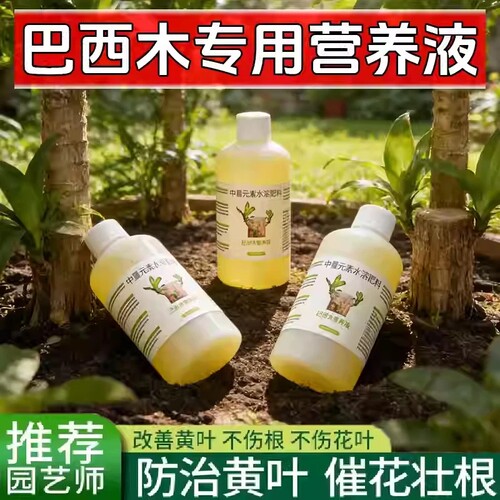 免稀释巴西木专用营养液