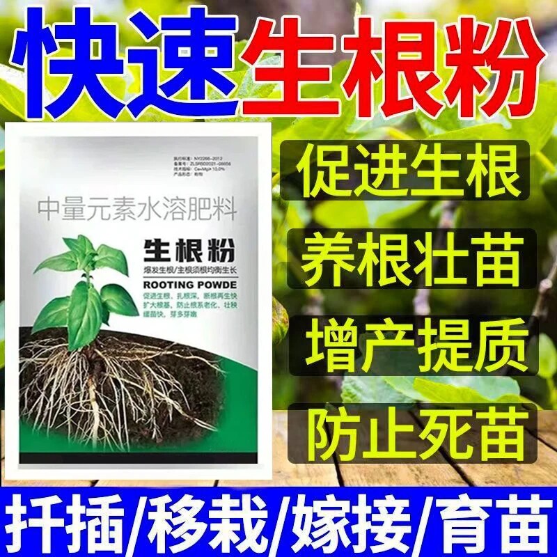 生根粉强力移栽扦插生根粉死苗烂根沤根月季葡萄花卉蔬菜通用育苗