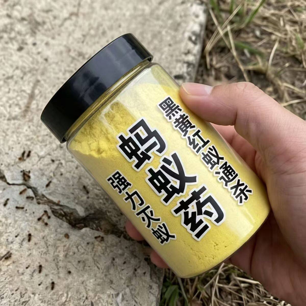 强效家用室内厨房菜地蚂蚁药